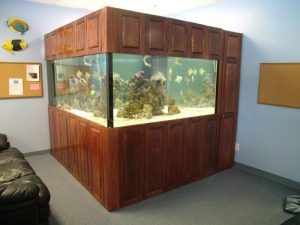 500 Gallon Aquarium Enclosure